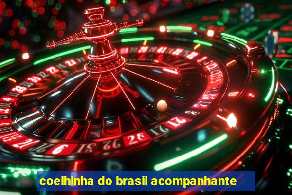 coelhinha do brasil acompanhante